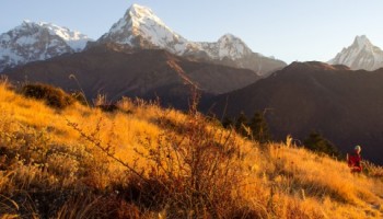 Ghorepani Poon Hill Trek – 10 Days