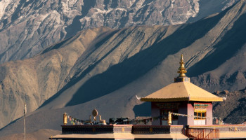 Mustang Region