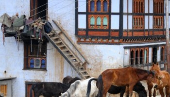 3 Nights 4 Days Bhutan Tour