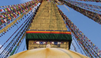 Buddhist Circuit Tour 10 Days