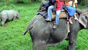 Family Tour In Nepal 8 Days