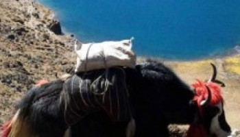 The Druk Path Trek – 9 Days
